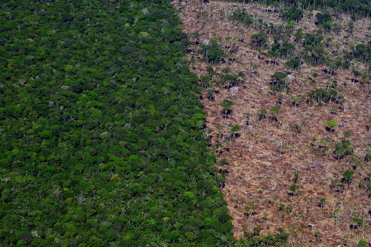 Leis europeias fecham o cerco contra empresas que fomentam desmatamento na Amazônia