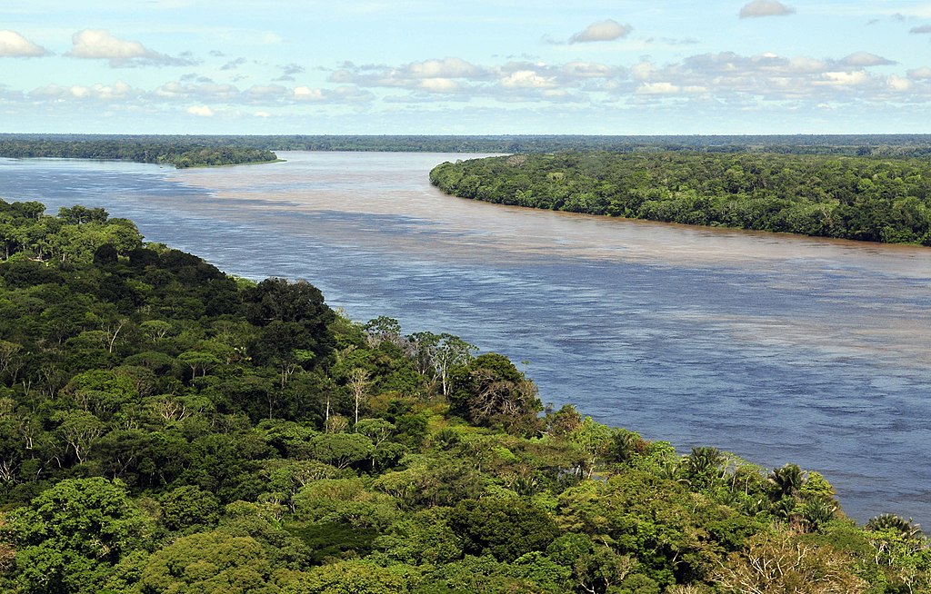 Paralisação do Fundo Amazônia fragilizou órgãos como Ibama