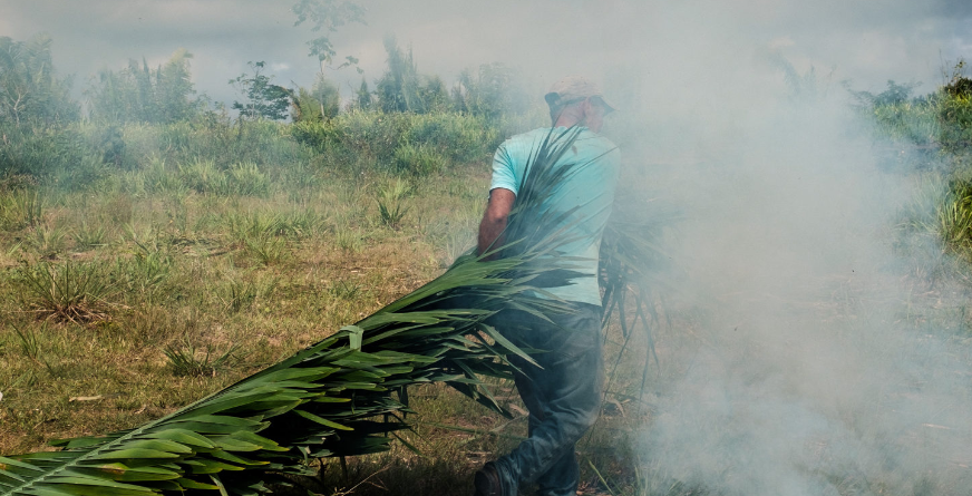 Enfraquecimento da reforma agrária abre espaço para violência no Pará