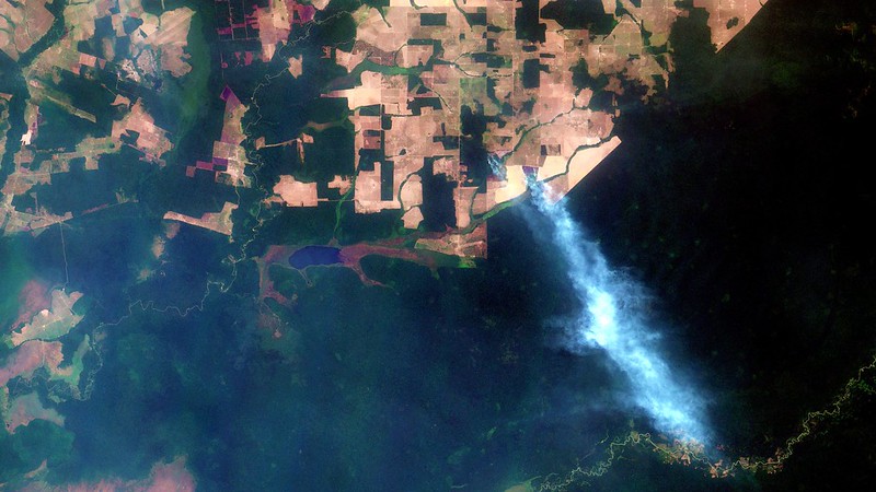 Incêndios florestais aumentaram no Sudoeste da Amazônia após novo Código Florestal