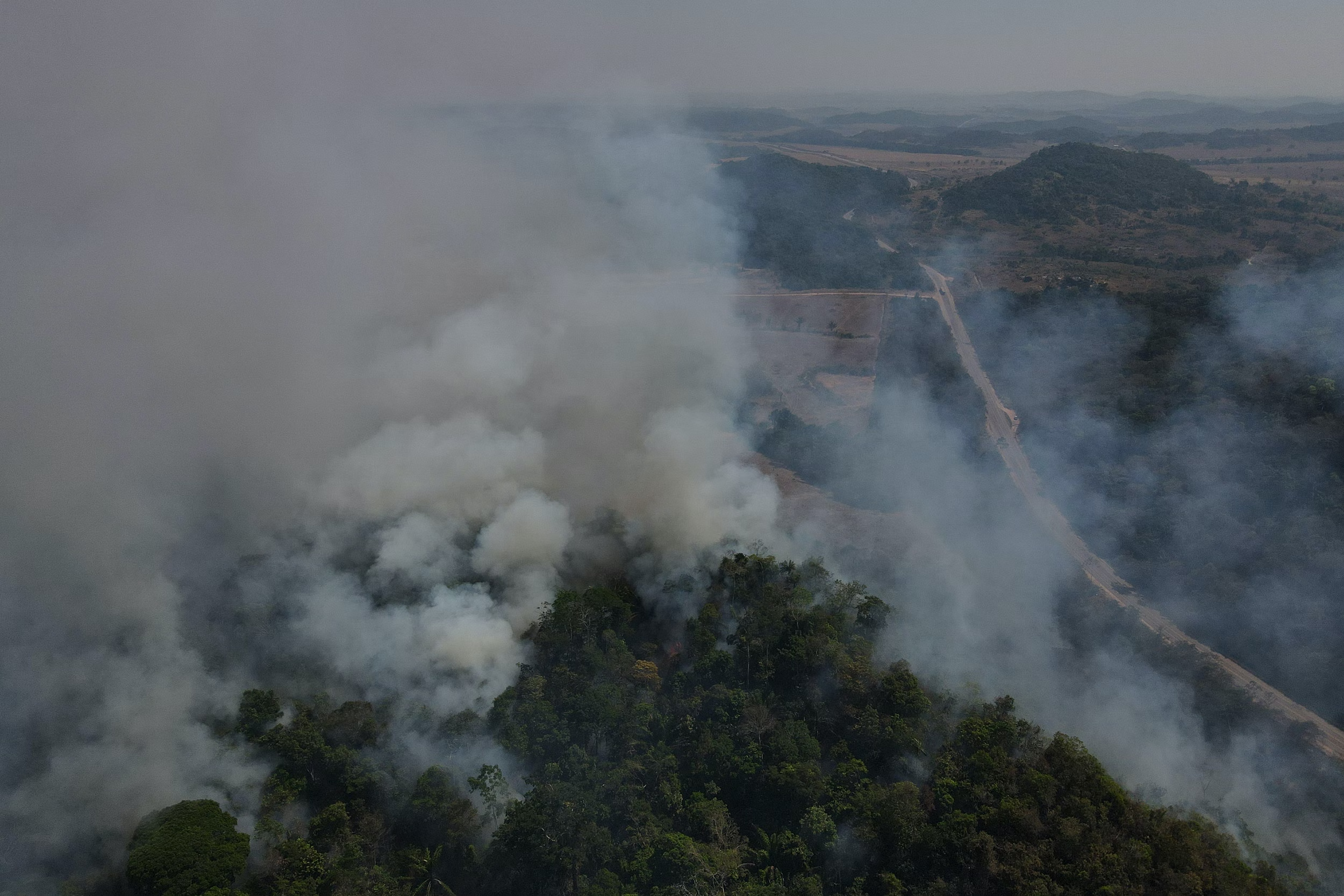 ‘The Intercept Brasil’ revela quem está por trás da grilagem de terras públicas na Amazônia