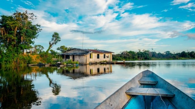 OPINIÃO | Como evitar o colapso da Amazônia: zerar perda de florestas e restaurar áreas desmatadas