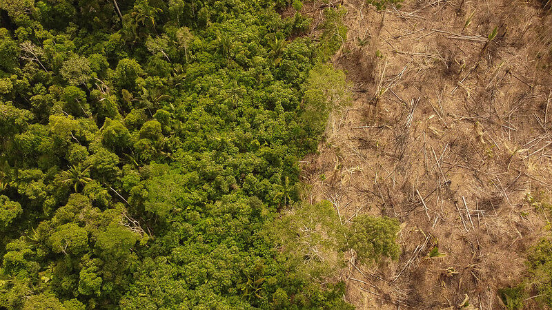 OPINIÃO | Segunda Resex mais desmatada da Amazônia é risco à vida de povos indígenas