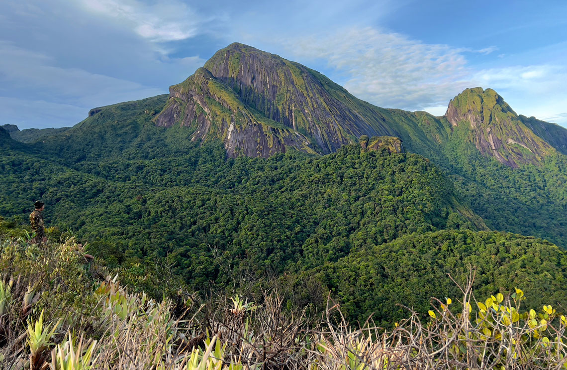 A biodiversidade de uma serra inexplorada na Amazônia