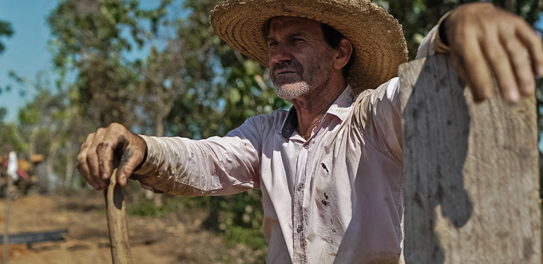 Como a agrofloresta pode restaurar terras degradadas e gerar renda na Amazônia