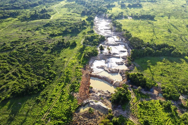 Governador do Pará decreta estado de emergência ambiental em 15 municípios