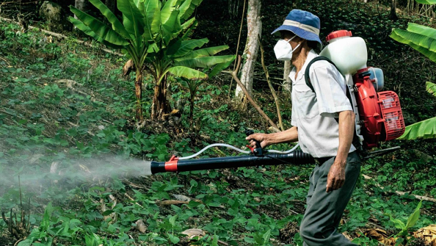 Envenenamento por pesticidas se intensifica em comunidades indígenas de Mato Grosso