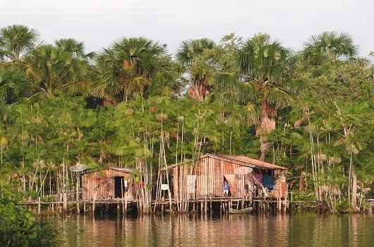 Fiocruz lança base de dados com informações inéditas sobre a Amazônia