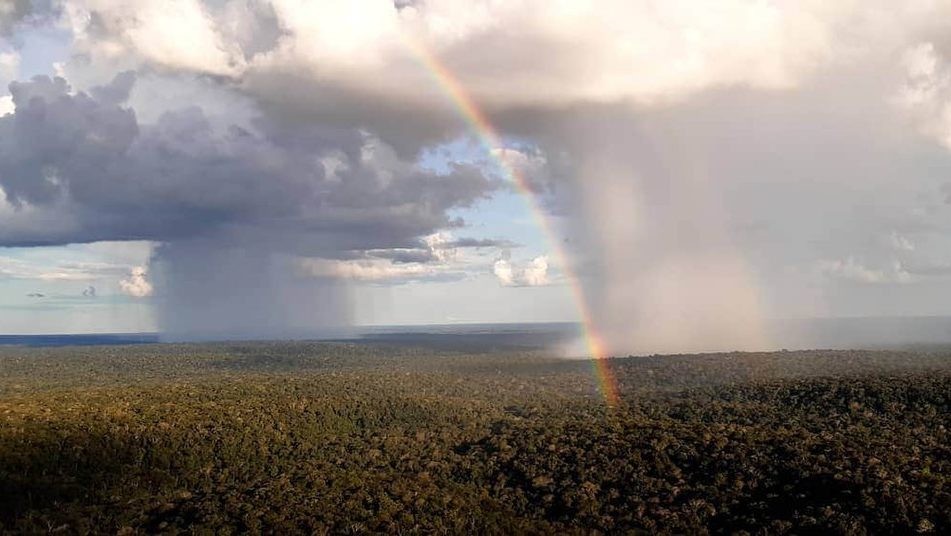 Opinião | Paradoxo na Amazônia: chuvas volumosas e água potável em falta