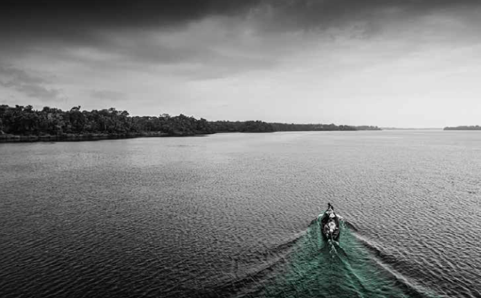 Estudo aponta fragilidade no fomento de negócios socioambientais na Amazônia