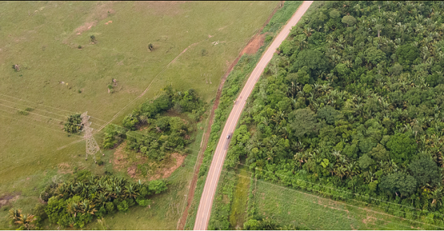 Nestlé compra colágeno de gado criado em áreas desmatadas no Brasil