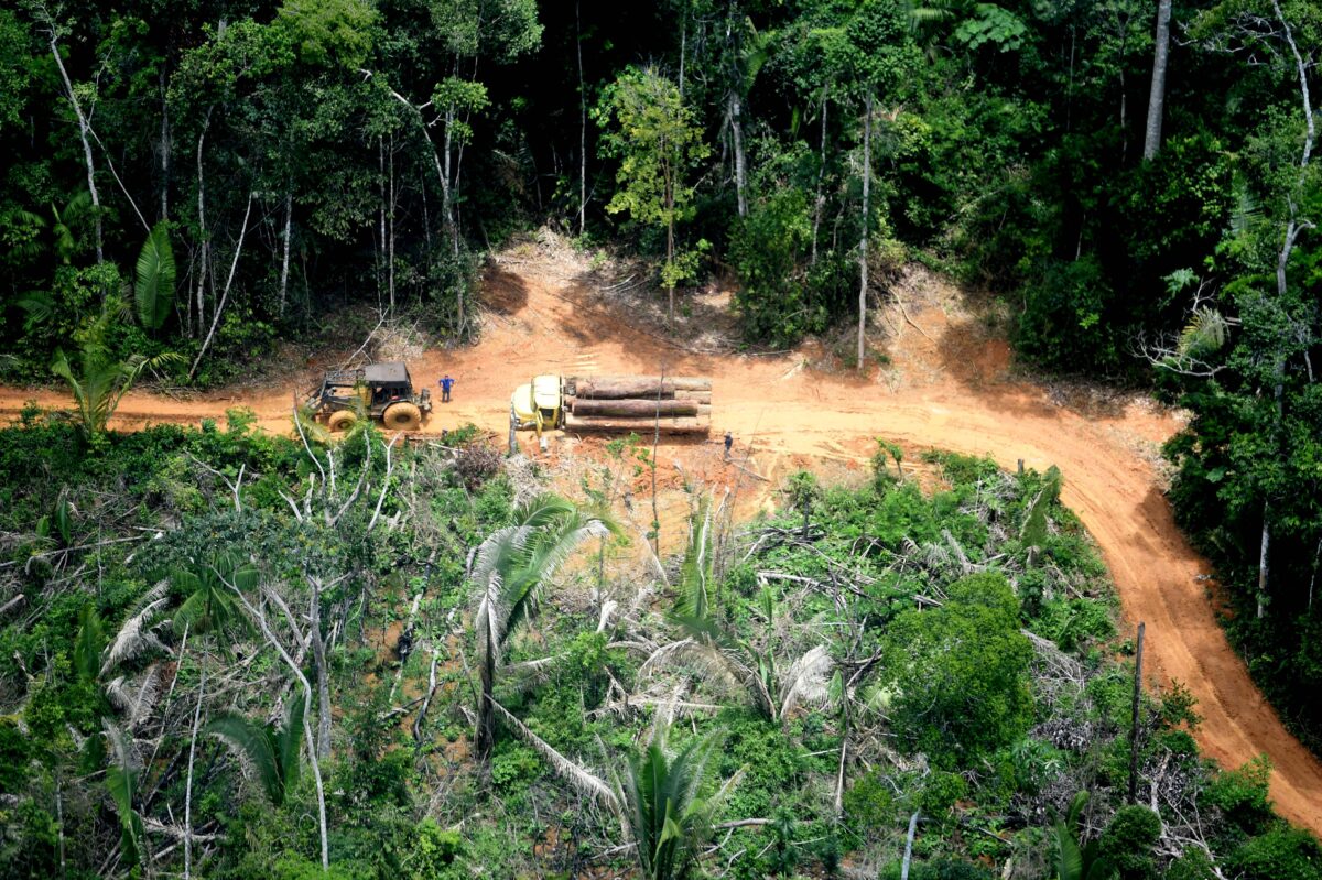 Terra Indígena Karipuna é a mais desmatada no entorno da BR-319