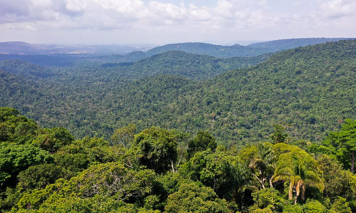 Combate à pobreza pode contribuir para redução do desmatamento na Amazônia, diz estudo