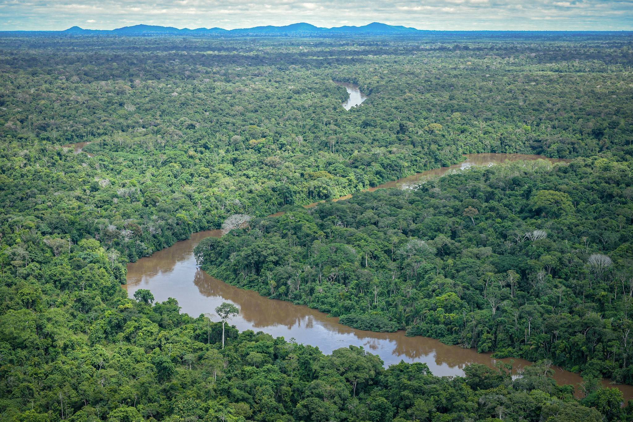 Grileiros fraudam documentos virtuais para roubar terras indígenas na Amazônia