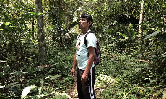 Dia da Amazônia: organizações alertam sobre preservação do bioma