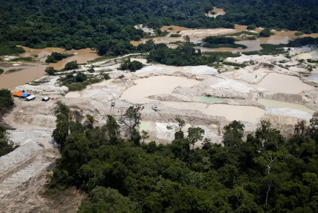 Suspeito de chefiar narcogarimpos extraiu ouro de área ambiental sem autorização do ICMBio