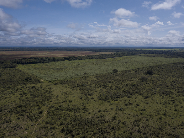 BNDES financia desmatadores a dois meses de nova regra ambiental entrar em vigor