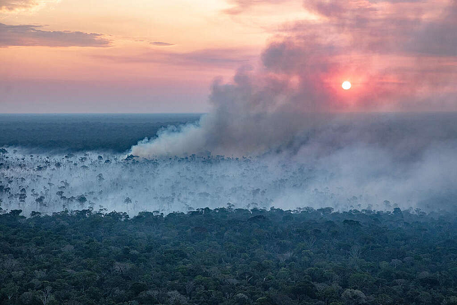 Como Portel, no Pará, virou campeão em queimadas durante seca histórica na Amazônia