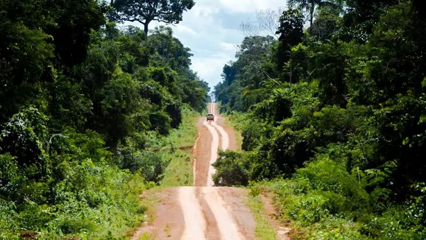 Desmatamento zero e infraestrutura sustentável são prioridades para a Amazônia, indicam pesquisadores na COP28
