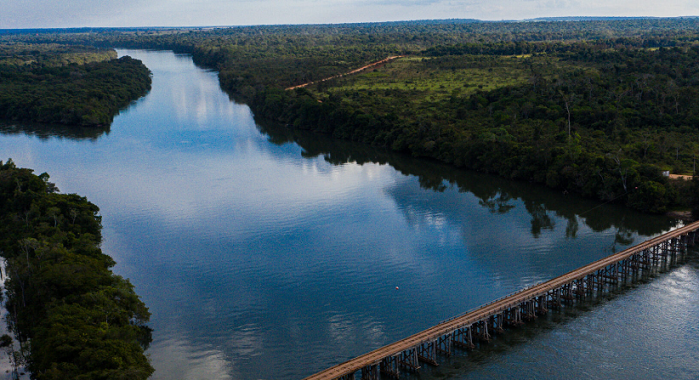 Projeto de hidrelétrica na Amazônia mato-grossense ameaça espécies e modos de vida tradicionais