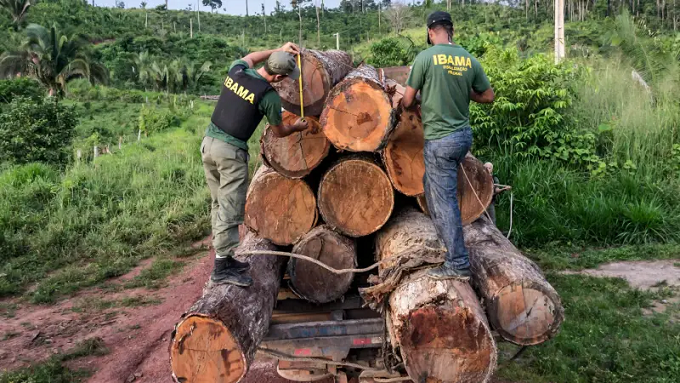Multas por desmatamento na Amazônia caem 90% em janeiro com protesto de fiscais do Ibama